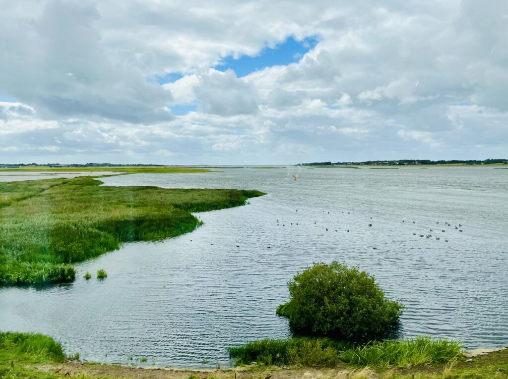  Vy över reservatet. 