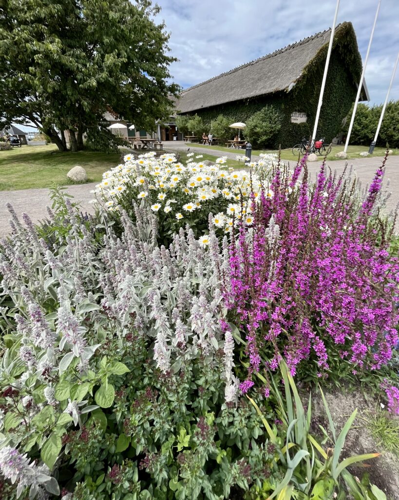 Blomsterprakt med naturum i bakgrunden.