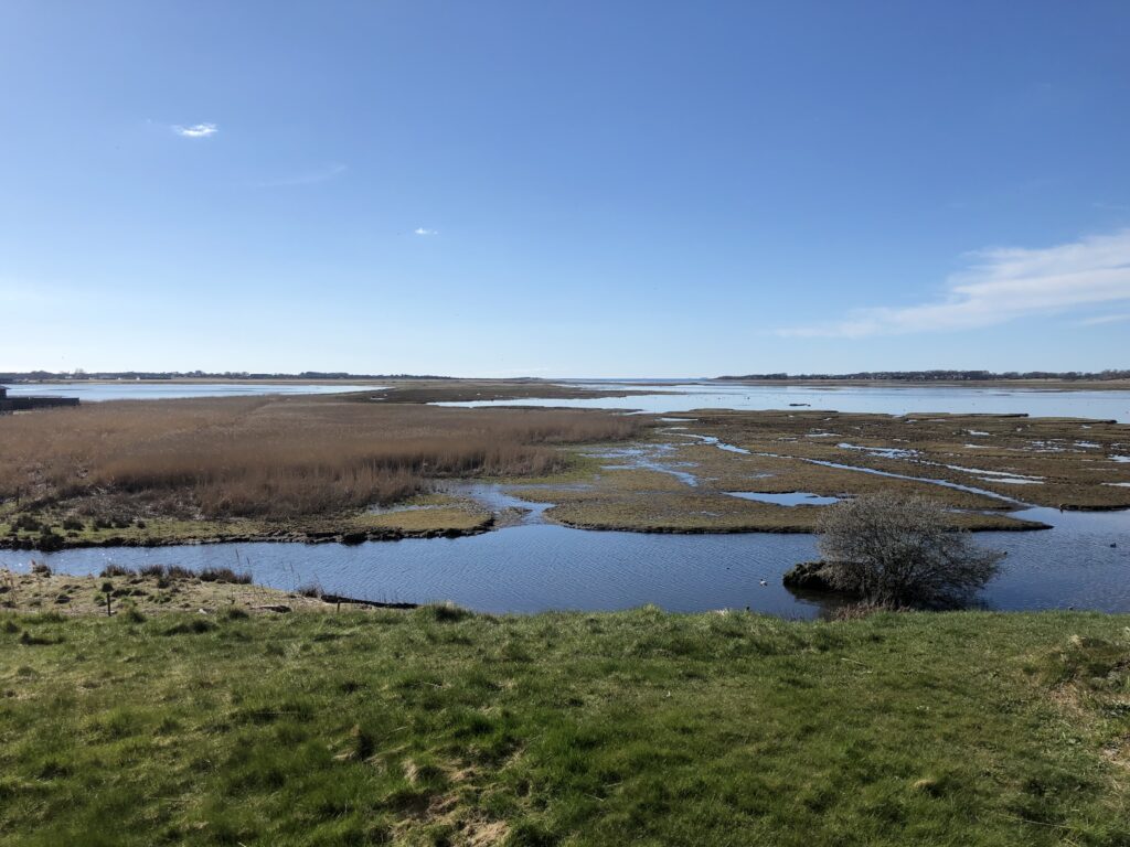 Blå himmel, vatten och strandängar. Getteröns naturreservat.