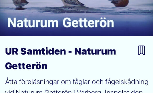 Annons - UR Samtiden - naturum Getterön