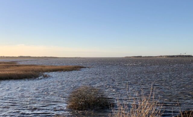 Fågelreservatet Getterön