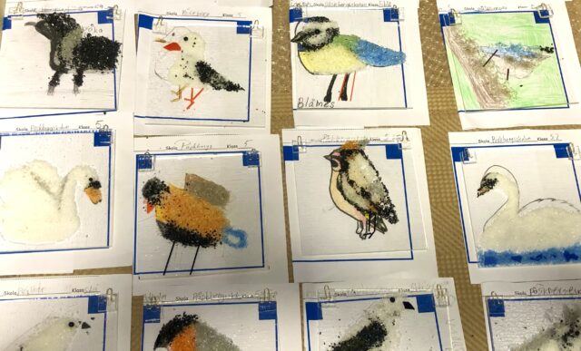 Konstverk med svenska fåglar som barnen gjort under sitt skolbesök på naturum Getterön
