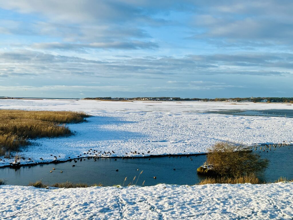 Snöbeklätt Getteröns naturreservat