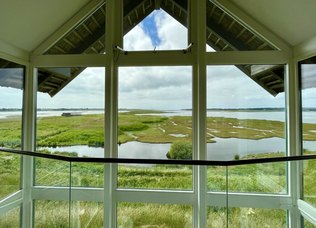 Utsikt över Getteröns naturreservat. Vatten och strandängar.