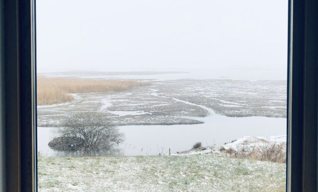 Bilden tagen genom ett fönster på Getteröns naturreservat med ett tunt snötäcke