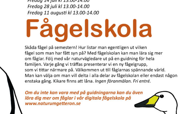 Fågelskola