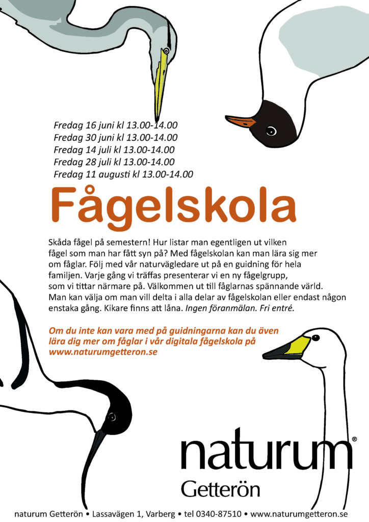 Fågelskola