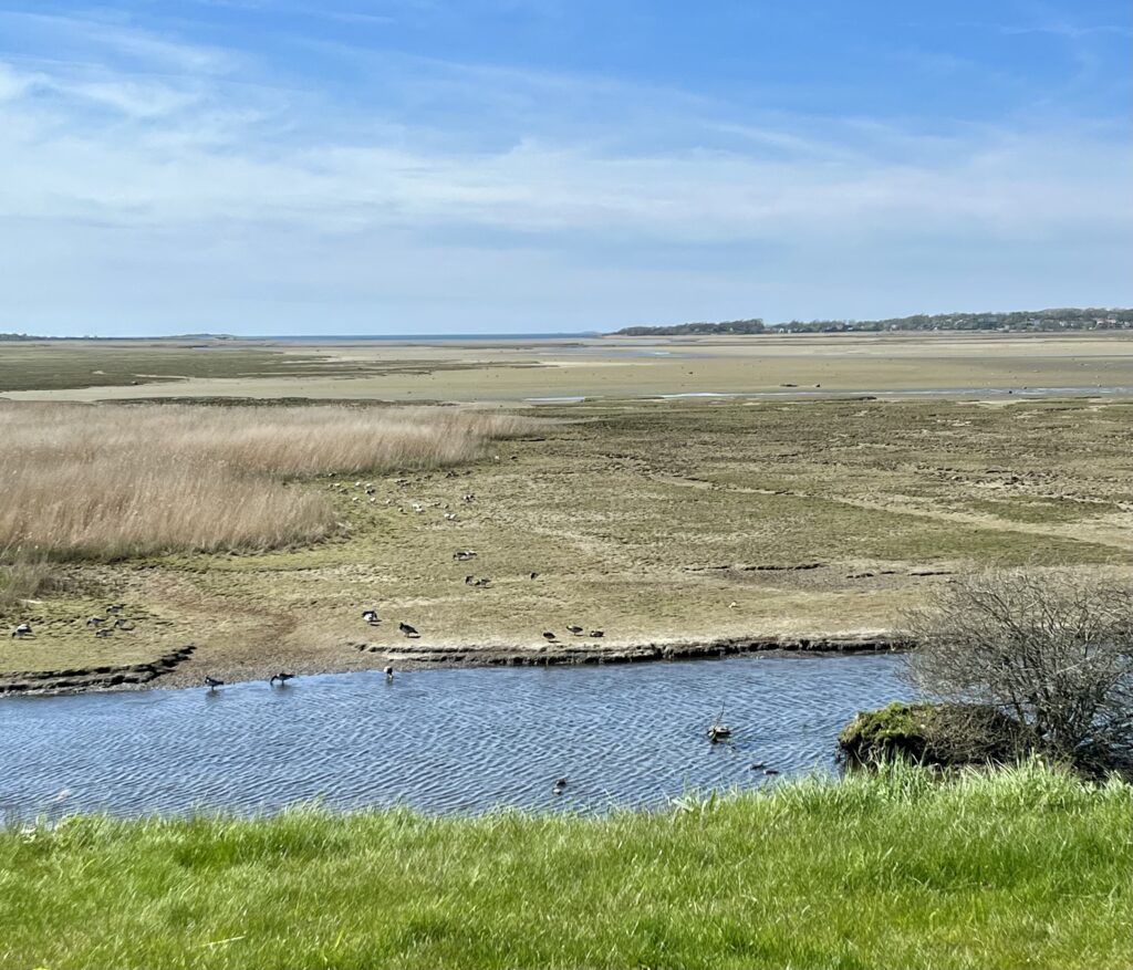 Getteröns naturreservat 