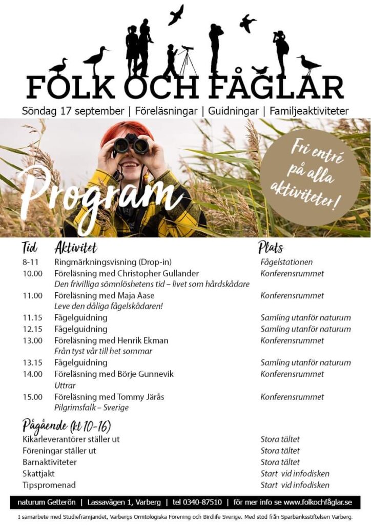 Folk och fåglar