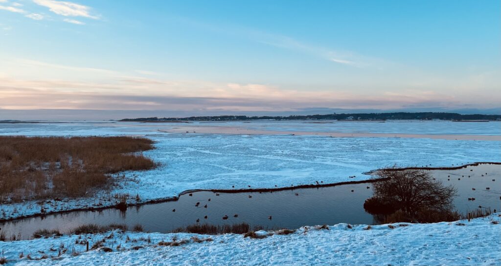 Solnedgång 