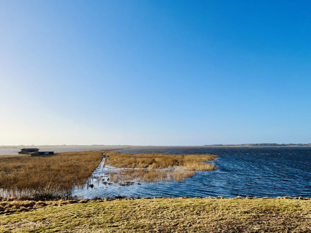 Stormen Ingunn och Getteröns naturreservat med högvatten.