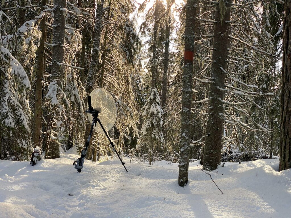 Bild på fågelljudsinspelning