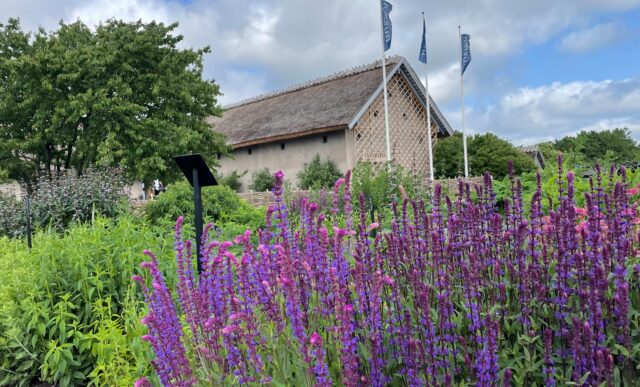 Naturum Getterön blomsterrabatt och naturumbyggande