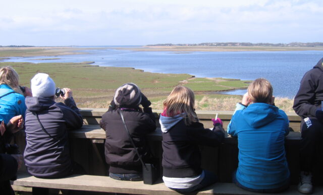 En grupp ungdomar som sitter och tittar ut över Getteröns naturreservat.